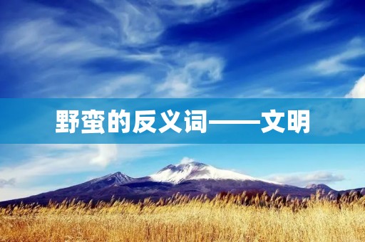 野蛮的反义词——文明