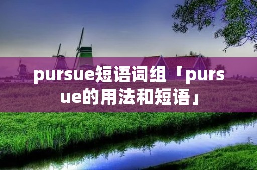 pursue短语词组「pursue的用法和短语」