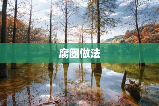 腐圈做法:一道美味又健康的素食佳肴 腐圈做法:一道美味又健康的素食佳肴