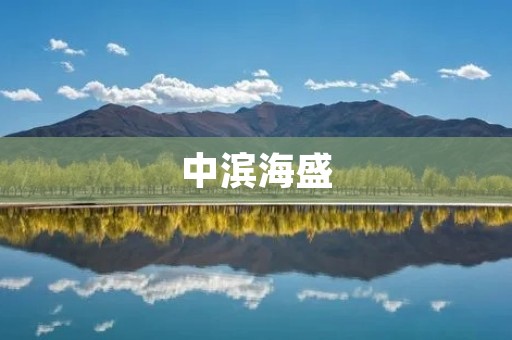 中滨海盛：打造宜居宜业的城市新地标