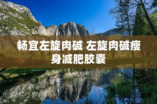 畅宜左旋肉碱 左旋肉碱瘦身减肥胶囊