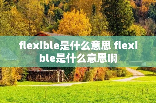 flexible是什么意思 flexible是什么意思啊