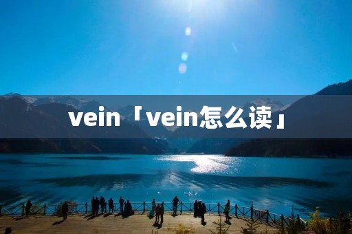 vein「vein怎么读」