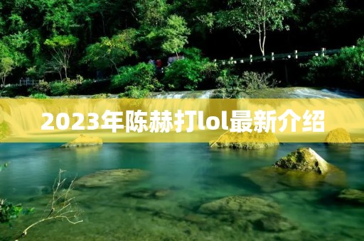 2023年陈赫打lol最新介绍 2023年陈赫打lol最新介绍
