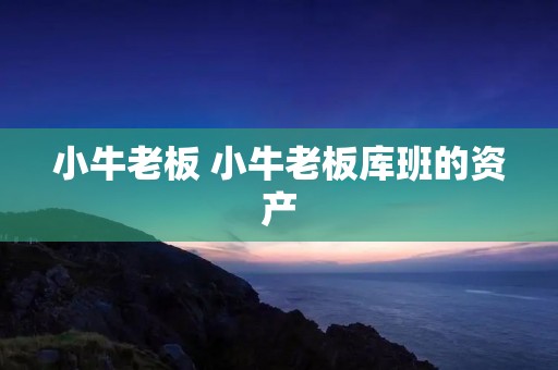 小牛老板 小牛老板库班的资产