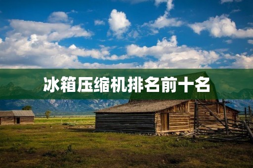 冰箱压缩机排名前十名:哪些品牌质量最好? 冰箱压缩机排名前十名:哪些品牌质量最好?