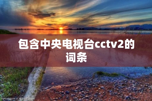 包含中央电视台cctv2的词条