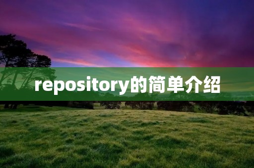 repository的简单介绍