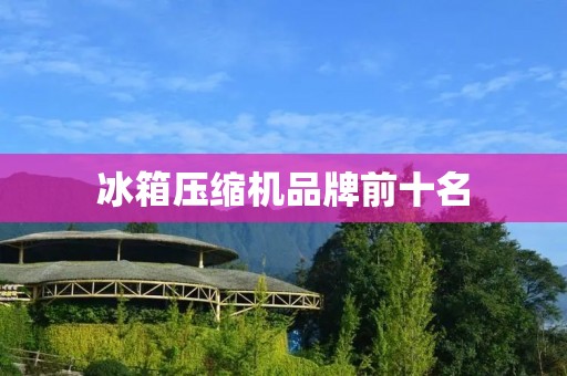 冰箱压缩机品牌前十名：你需要知道的事情