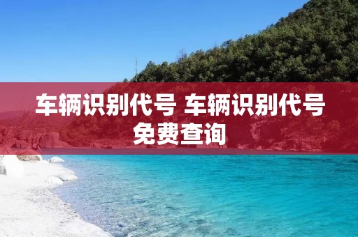 车辆识别代号 车辆识别代号免费查询