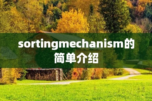 sortingmechanism的简单介绍