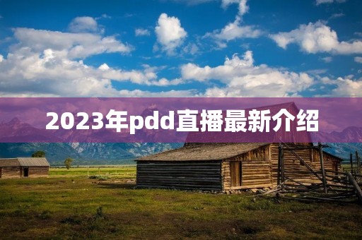 2023年pdd直播最新介绍