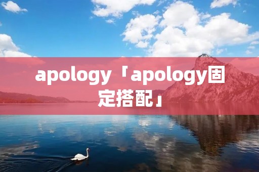 apology「apology固定搭配」