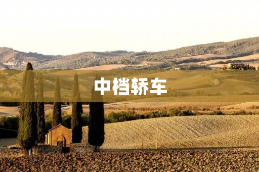 中档轿车：性价比之王