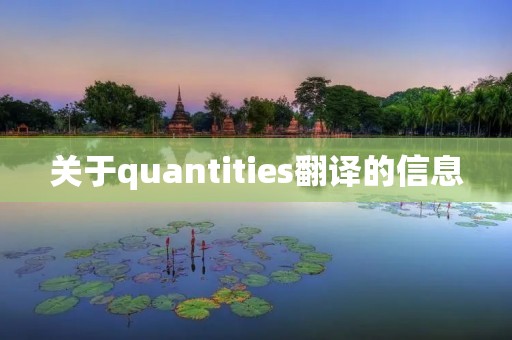 关于quantities翻译的信息