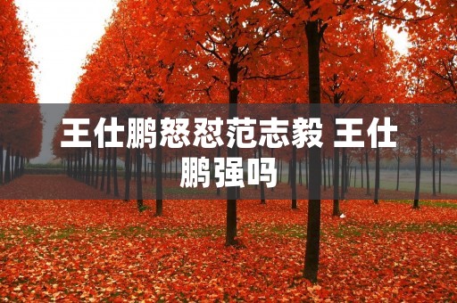 王仕鹏怒怼范志毅 王仕鹏强吗 王仕鹏怒怼范志毅 王仕鹏强吗