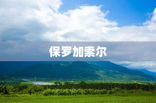 保罗加索尔：NBA历史上的传奇中锋