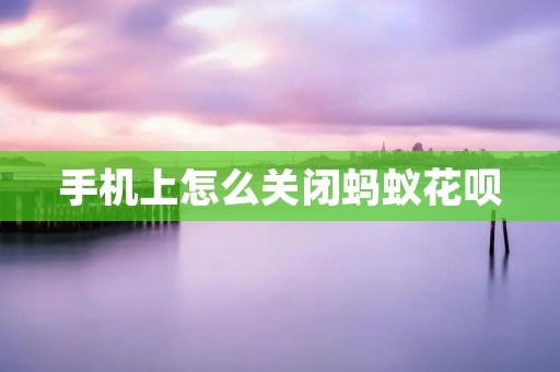 手机上怎么关闭蚂蚁花呗