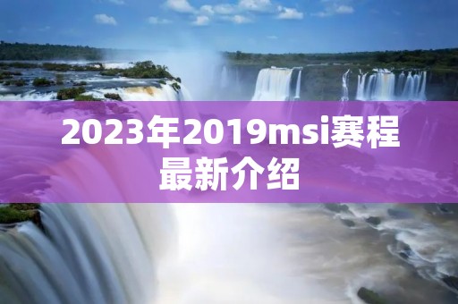 2023年2019msi赛程最新介绍