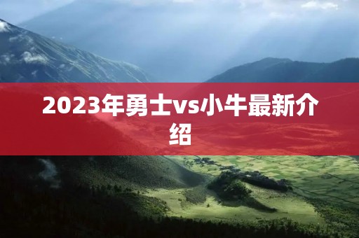 2023年勇士vs小牛最新介绍