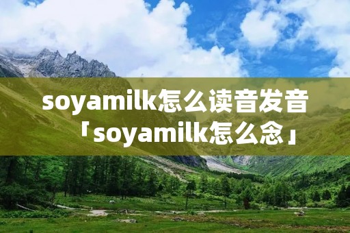 soyamilk怎么读音发音「soyamilk怎么念」