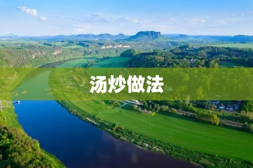 汤炒做法：用汤水烹饪美食的新方式