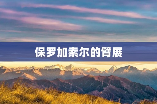 保罗加索尔的臂展:NBA历史上最长的“翅膀” 保罗加索尔的臂展:NBA历史上最长的“翅膀”