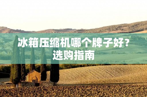 冰箱压缩机哪个牌子好?选购指南 冰箱压缩机哪个牌子好?选购指南