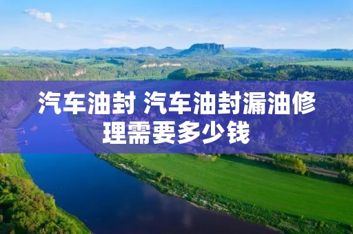 汽车油封 汽车油封漏油修理需要多少钱