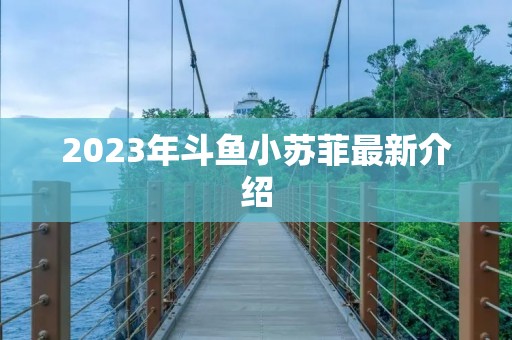 2023年斗鱼小苏菲最新介绍