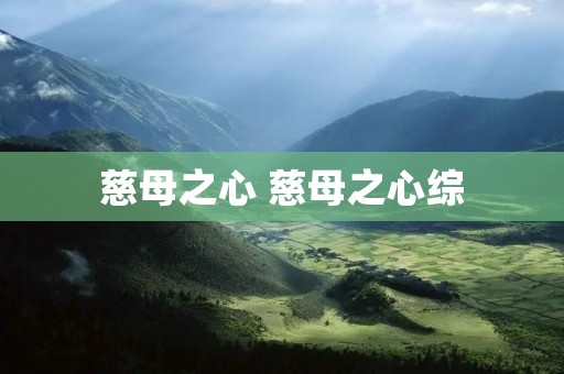 慈母之心 慈母之心综