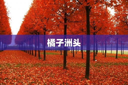 橘子洲头：在湘江中，一颗闪光的明珠