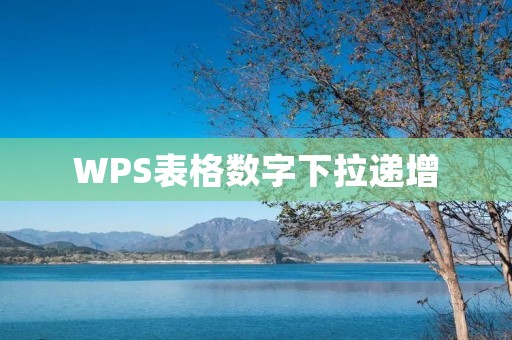 WPS表格数字下拉递增