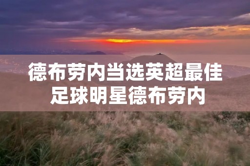德布劳内当选英超最佳 足球明星德布劳内
