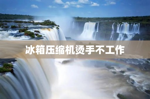 冰箱压缩机烫手不工作:原因及解决方法 冰箱压缩机烫手不工作:原因及解决方法