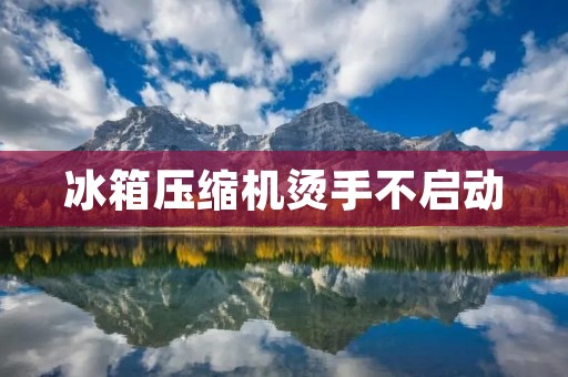 冰箱压缩机烫手不启动:原因和解决方法 冰箱压缩机烫手不启动:原因和解决方法