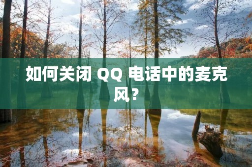 如何关闭 QQ 电话中的麦克风?