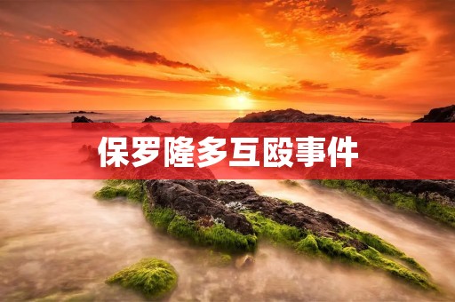 保罗隆多互殴事件:UFC历史上最为惊心动魄的战斗 保罗隆多互殴事件:UFC历史上最为惊心动魄的战斗