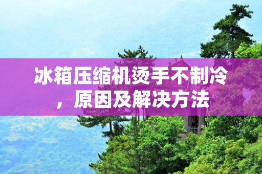 冰箱压缩机烫手不制冷,原因及解决方法 冰箱压缩机烫手不制冷,原因及解决方法