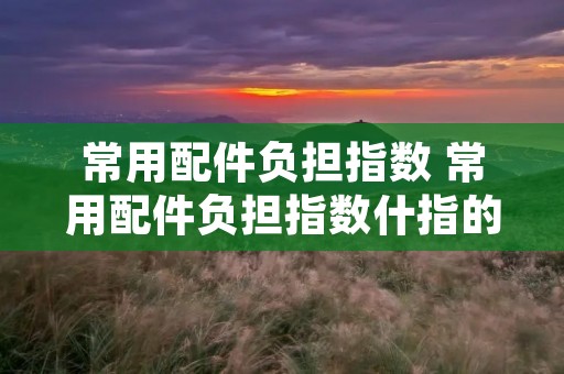 常用配件负担指数 常用配件负担指数什指的是