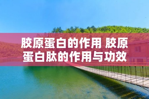 胶原蛋白的作用 胶原蛋白肽的作用与功效