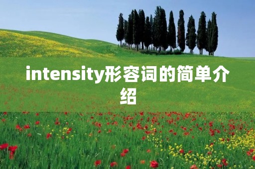 intensity形容词的简单介绍