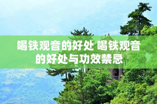 喝铁观音的好处 喝铁观音的好处与功效禁忌 喝铁观音的好处 喝铁观音的好处与功效禁忌
