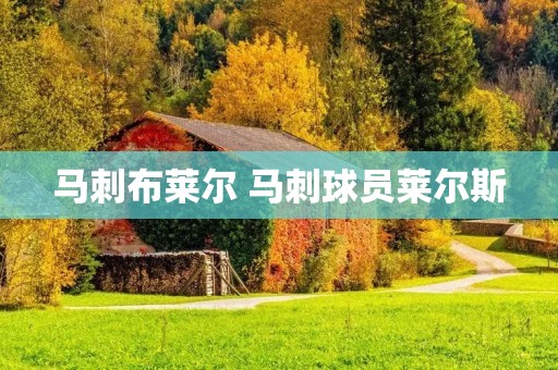 马刺布莱尔 马刺球员莱尔斯