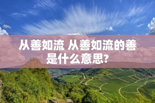 从善如流 从善如流的善是什么意思?