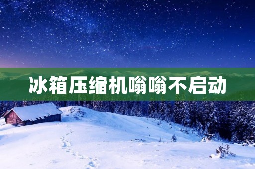 冰箱压缩机嗡嗡不启动：原因及解决方法