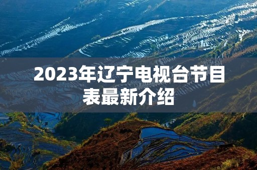2023年辽宁电视台节目表最新介绍 2023年辽宁电视台节目表最新介绍