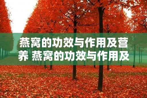 燕窝的功效与作用及营养 燕窝的功效与作用及营养百度百科