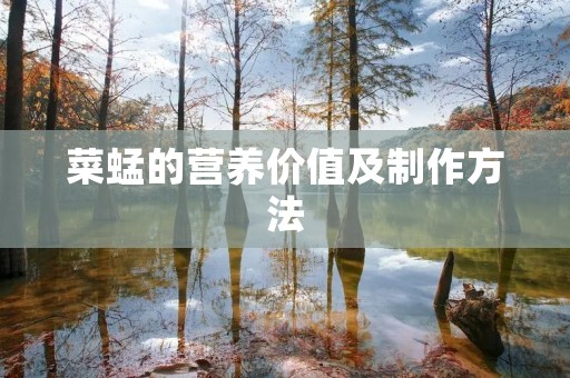 菜蜢的营养价值及制作方法