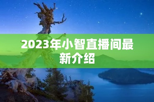 2023年小智直播间最新介绍 2023年小智直播间最新介绍
